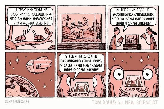 У тебя никогда не возникало ощущения, что за нами наблюдает иная форма жизни Комикс о разных формах жизни, которые задумываются о том, наблюдает ли за ними кто-то еще.
