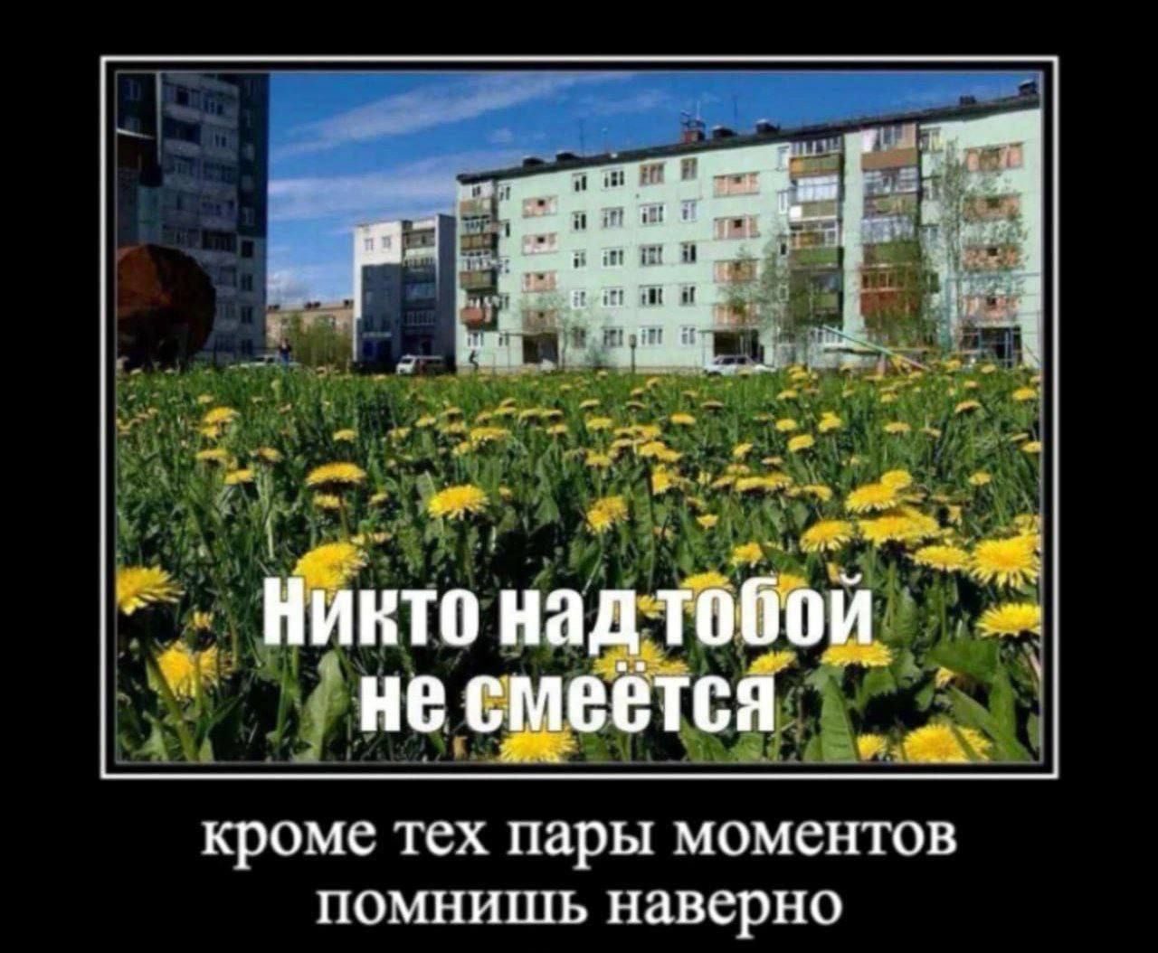 Никто над тобой не смеется Никто над тобой не смеется, кроме тех пару моментов