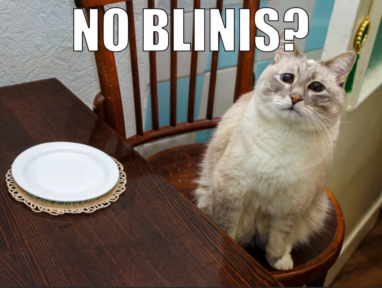 Кот «No blinis?» Кот сидит за столом перед пустой тарелкой и спрашивает: «No blinis?»