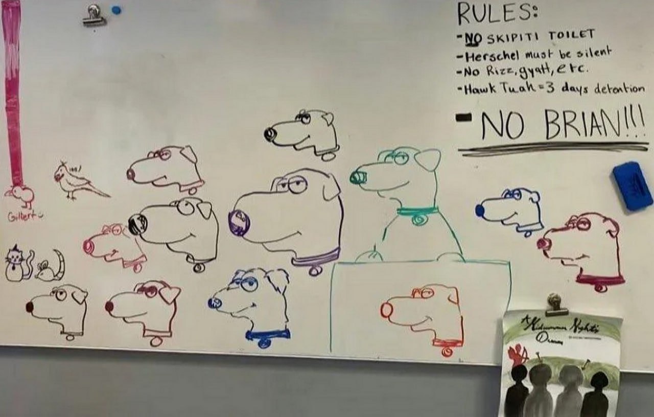NO BRIAN Доска с рисунками собак и надписью "NO BRIAN!!!"