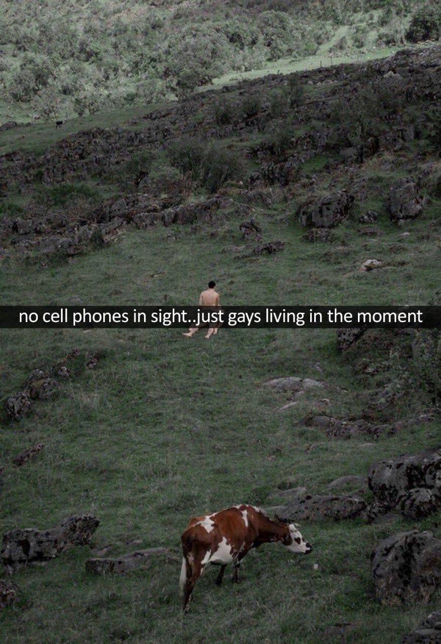 No cell phones in sight just gays living in the moment Мем "No cell phones in sight..just gays living in the moment" на фоне зеленого холма с коровой
