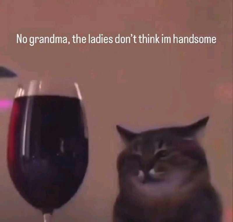 No grandma, the ladies don't think im handsome Кот за столом с бокалом вина, который отвечает бабушке, что девушки не считают его красивым