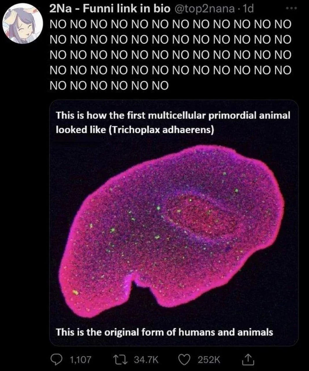 NO NO NO NO NO NO NO NO NO NO NO NO NO NO NO NO NO NO NO NO NO NO NO NO NO NO NO NO NO NO NO NO NO NO NO NO NO NO NO NO NO NO NO NO NO NO NO NO NO NO NO NO NO NO NO NO NO NO NO NO NO NO NO NO NO NO NO NO NO NO NO NO NO NO NO NO NO NO NO NO NO NO NO NO NO NO NO NO