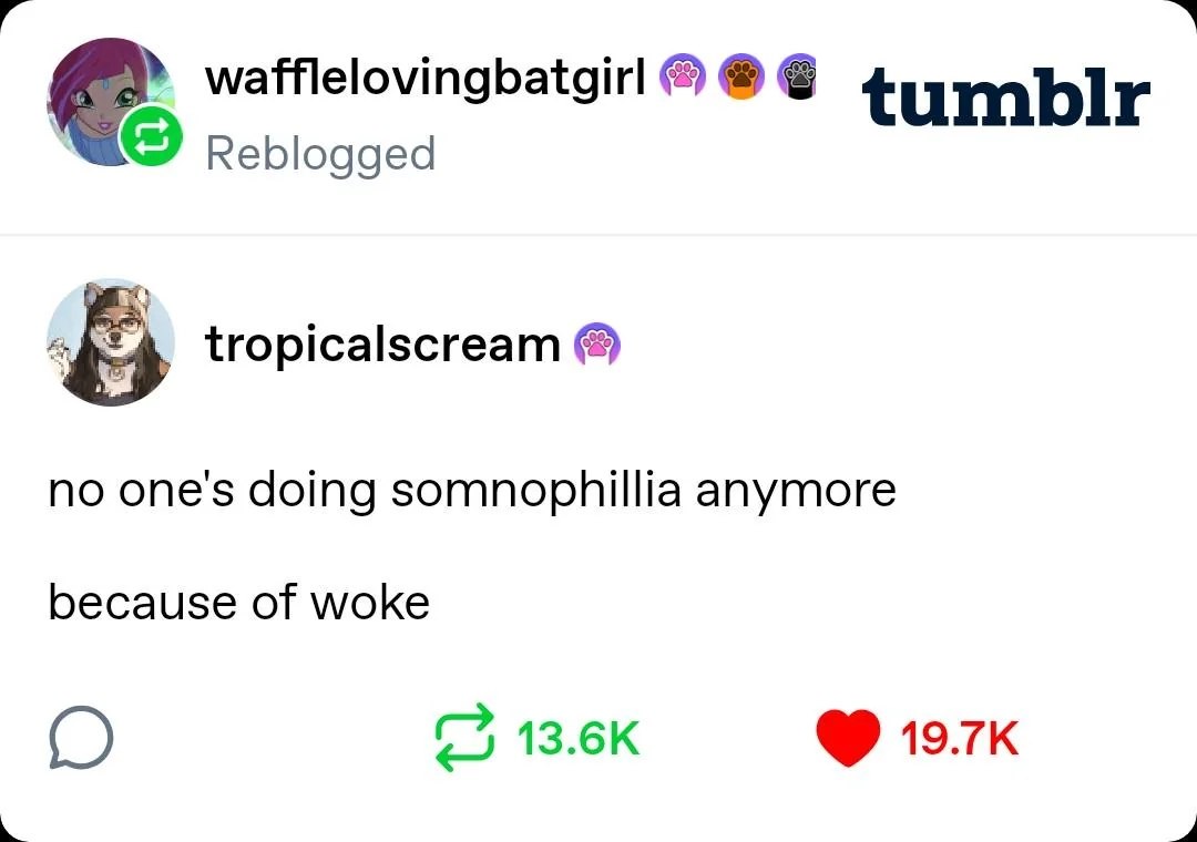 Саркастичный пост Tumblr о том, что из-за woke-культуры больше никто не занимается сомнофилией