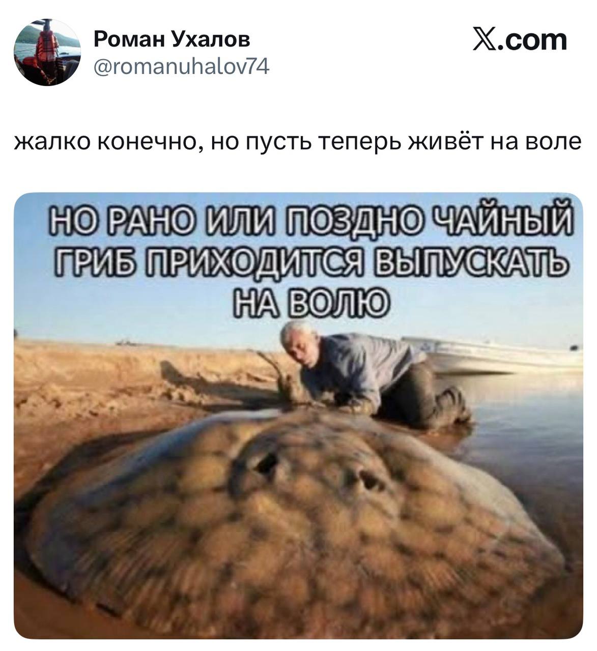 Но рано или поздно чайный гриб приходится выпускать на волю Мужчина отпускает огромного ската в воду, с подписью "Но рано или поздно чайный гриб приходится выпускать на волю"