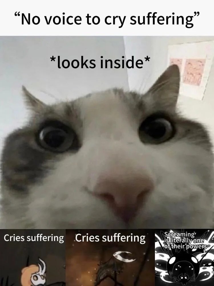 Кот крупным планом с надписью «No voice to cry suffering» и подписью «*looks inside*», а снизу — несколько панелей про страдание и крик
