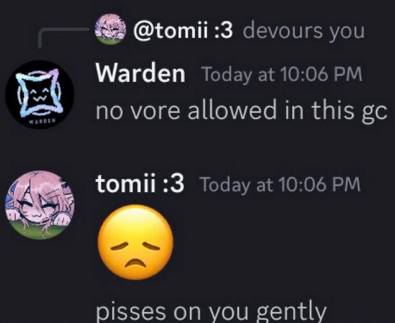 No vore allowed in this gc Мем про запрет вора в чате Discord и неожиданную реакцию пользователя.