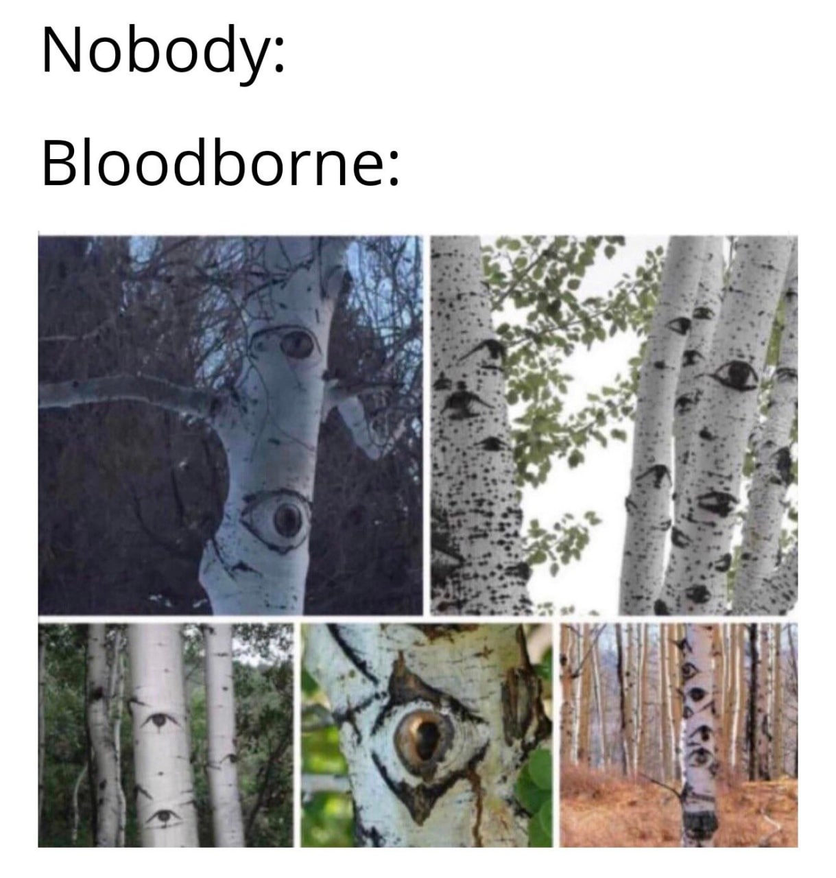 Никто: Bloodborne: Деревья с глазами Никто: Bloodborne: Деревья с глазами
