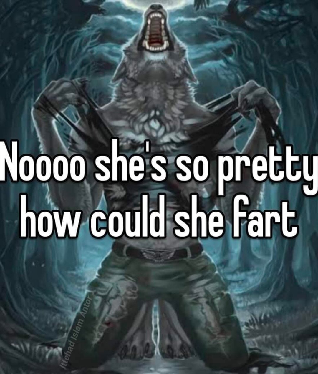 Noooo she’s so pretty how could she fart Мем про оборотня, который не может поверить, что красивая девушка может пукать