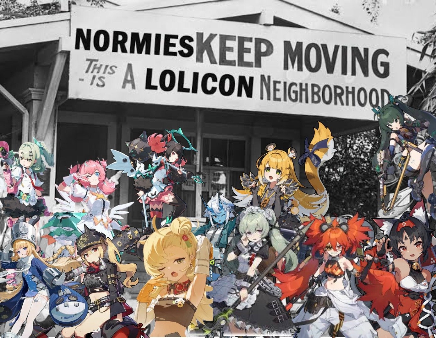 Большой плакат с надписью «Normies keep moving / This is a lolicon neighborhood», перед которым стоят многочисленные аниме-девушки.