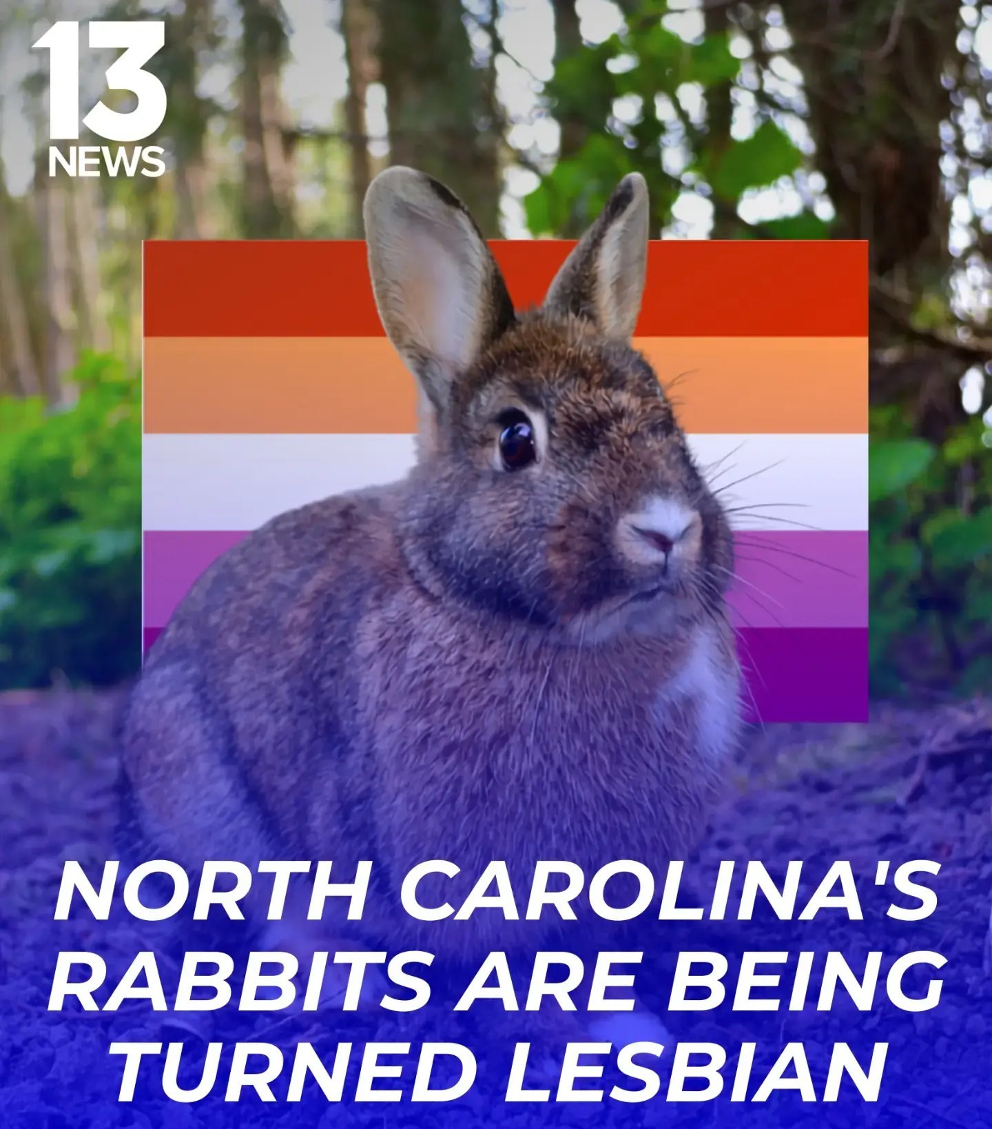 Кролик на фоне радужного флага и новостной заставки с надписью «North Carolina's rabbits are being turned lesbian».