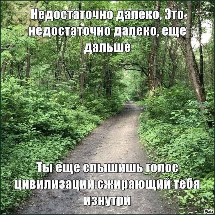 Недостаточно далеко, Ты еще слышишь голос цивилизации Тропинка в лесу с надписью «Недостаточно далеко, это недостаточно далеко, еще дальше. Ты еще слышишь голос цивилизации сжирающий тебя изнутри»