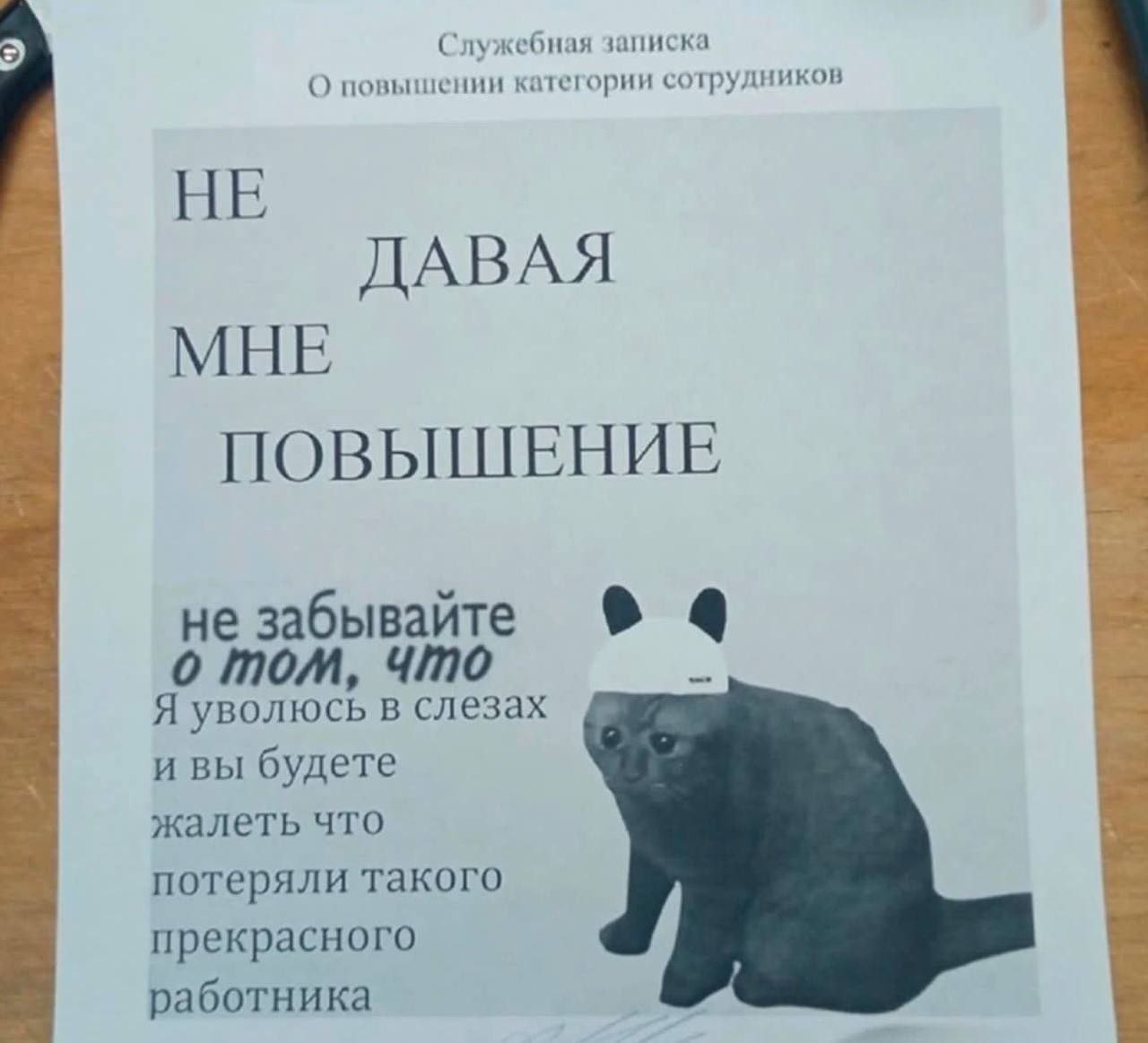 Не давая мне повышение, я уволюсь в слезах Грустный кот в шапке панды, который угрожает увольнением из-за отказа в повышении на работе.