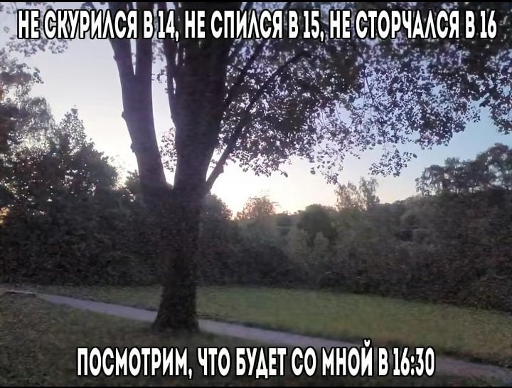 Не скурился в 14, не спился в 15, не сторчался в 16 Мем с надписью "Не скурился в 14, не спился в 15, не сторчался в 16" на фоне вечернего пейзажа
