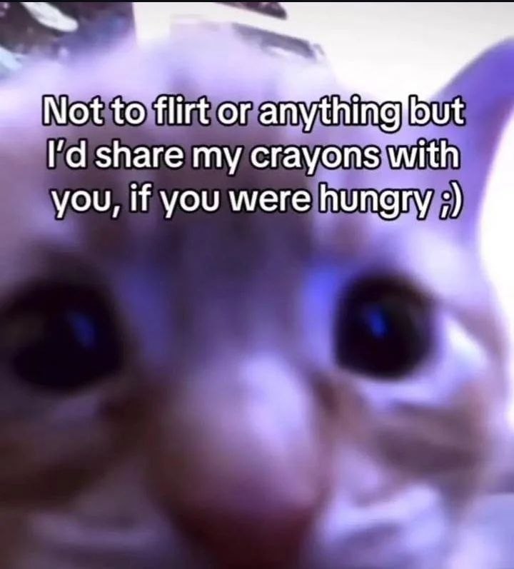 Кот крупным планом с подписью: «Not to flirt or anything but I’d share my crayons with you, if you were hungry ;)»