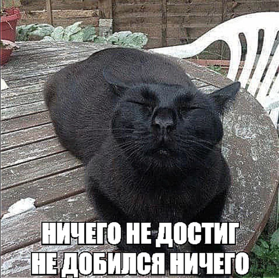 Ничего не достиг, не добился ничего Мем с котом, который спит на столе и надписью «Ничего не достиг, не добился ничего»