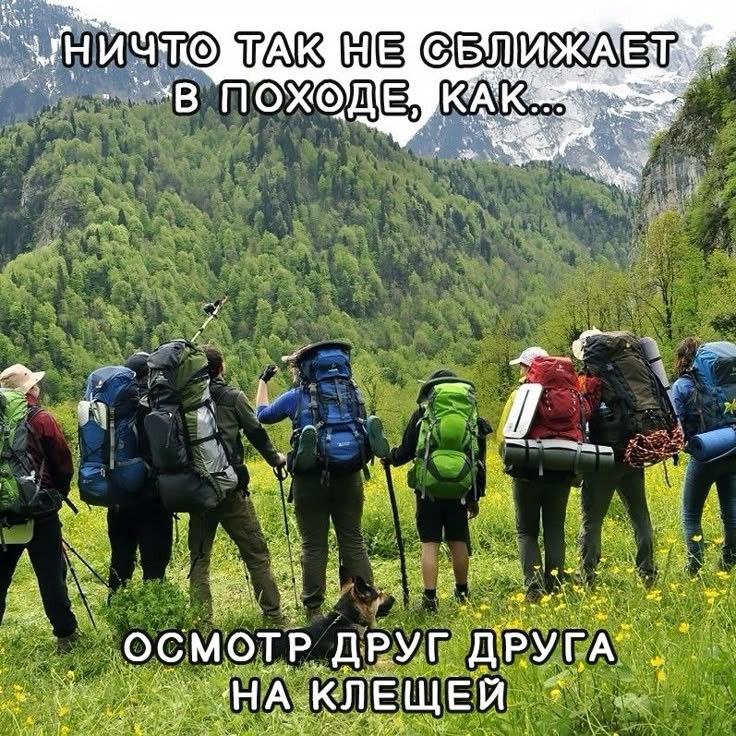 Ничто так не сближает в походе, как осмотр на клещей Туристы осматривают друг друга на клещей в горах