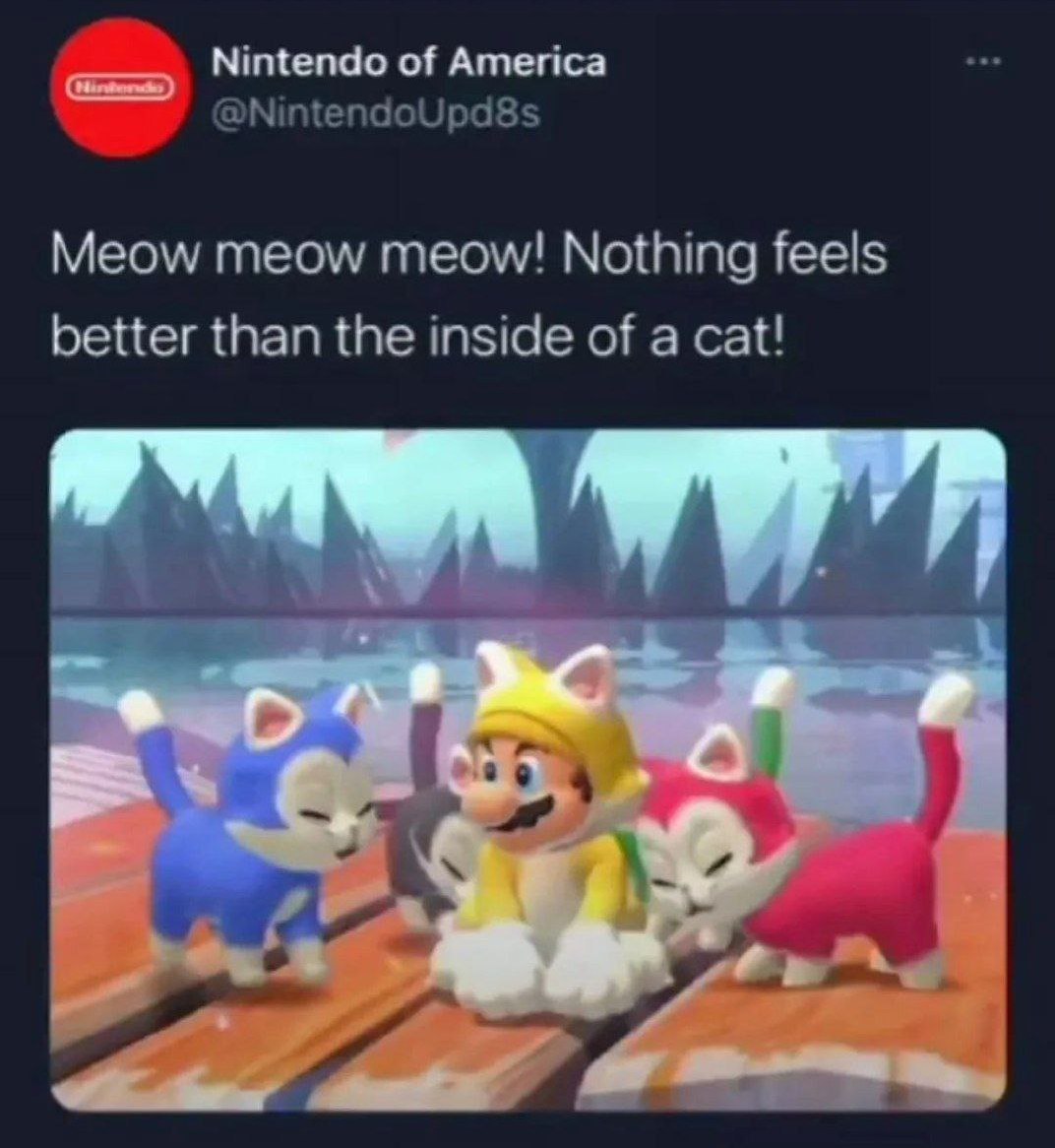 Nothing feels better than the inside of a cat Мем про Nintendo of America и Марио в кошачьем костюме