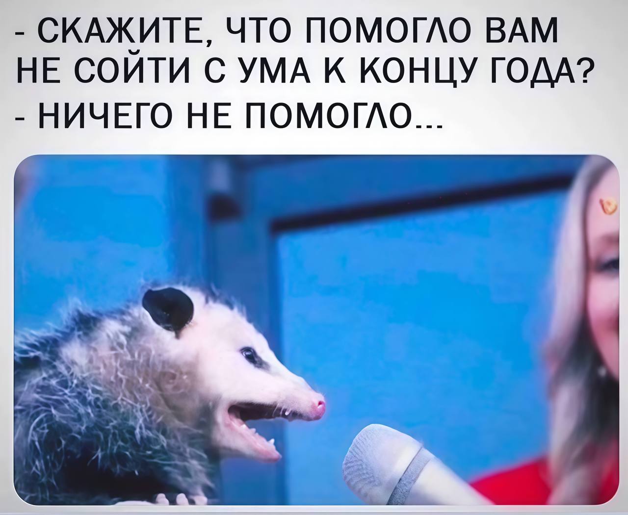 Опоссум кричит в микрофон в ответ на вопрос о том, что помогло не сойти с ума к концу года