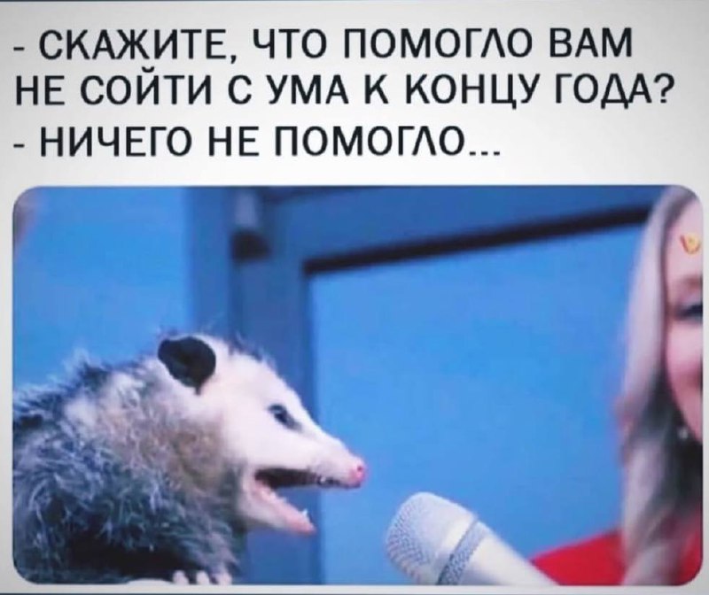 Ничего не помогло Опоссум у микрофона: ничего не помогло не сойти с ума к концу года