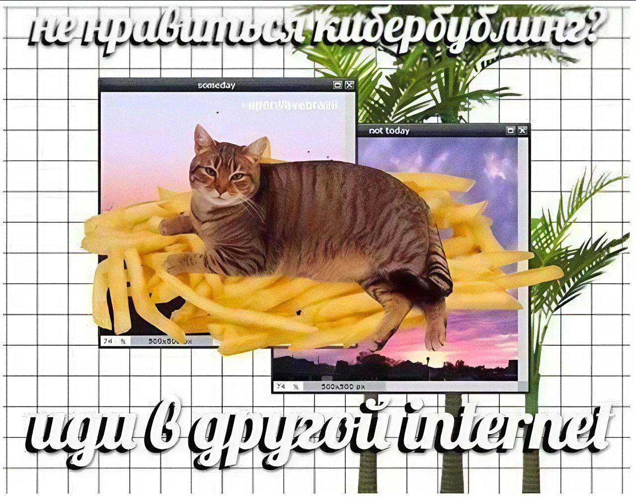 Нравится кибербуллинг? Иди в другой интернет Кот на картошке фри на фоне заката и надписями "Нравится кибербуллинг? Иди в другой интернет"