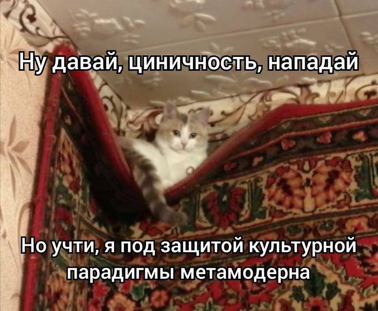 Кот с невозмутимым видом и надписью «Ну давай, циничность, нападай», а ниже — «Но учти, я под защитой культурной парадигмы метамодерна»
