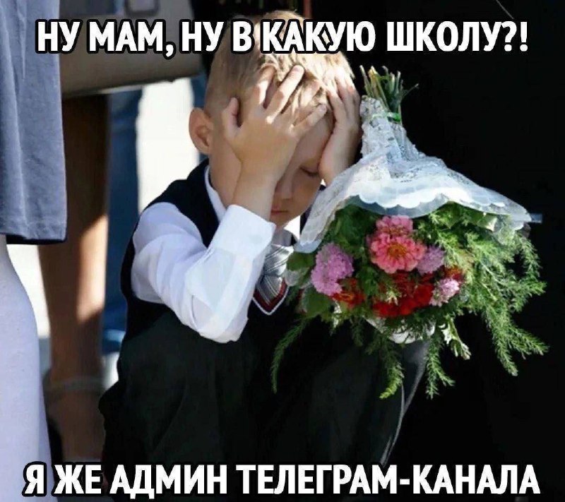 Ну мам, ну в какую школу?! Мальчик не хочет идти в школу, потому что он админ телеграм-канала.