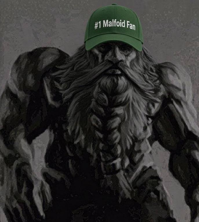Суровый бородатый воин в зелёной кепке с надписью «#1 Malfoid Fan» — фанат Малфоида номер один.