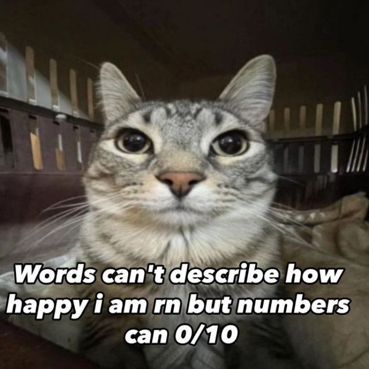 Numbers can describe happiness 0/10 Мем с котом, который смотрит прямо в камеру с надписью «Words can’t describe how happy i am rn but numbers can 0/10»