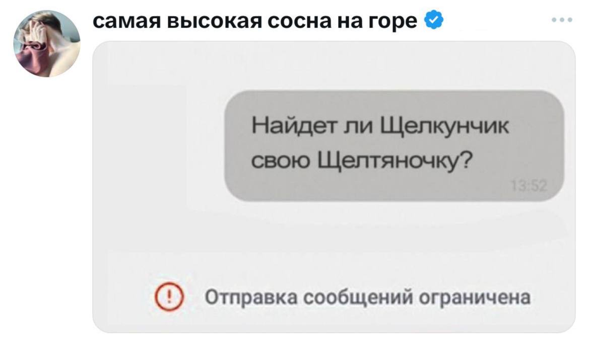 Найдет ли Щелкунчик свою Щелтяночку Скриншот сообщения с вопросом про Щелкунчика и Щелтяночку