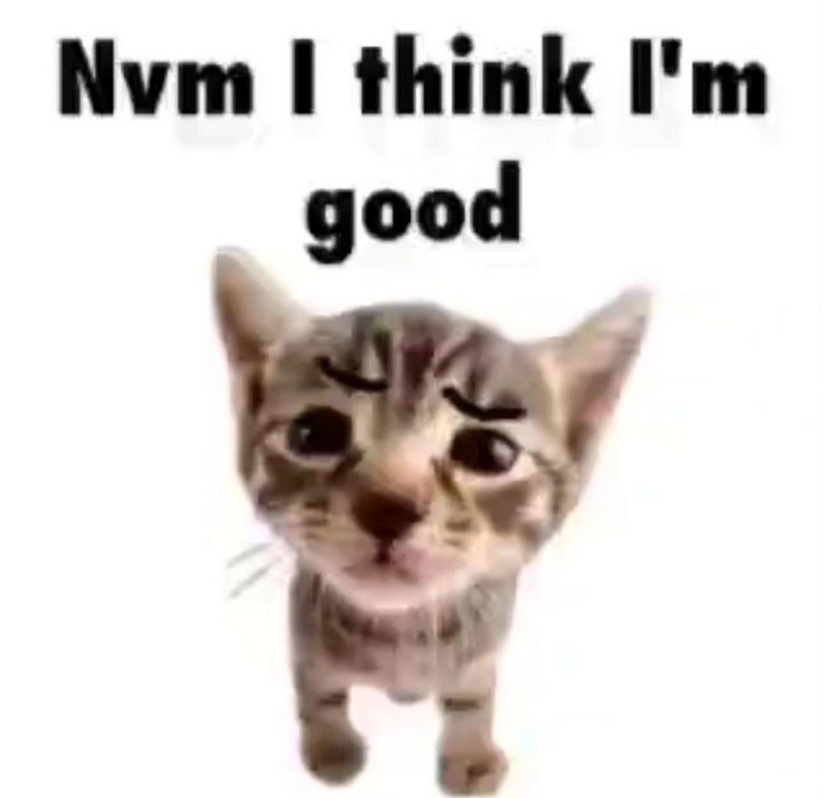 Nvm I think I'm good Мем с котом, который говорит «Nvm I think I'm good»