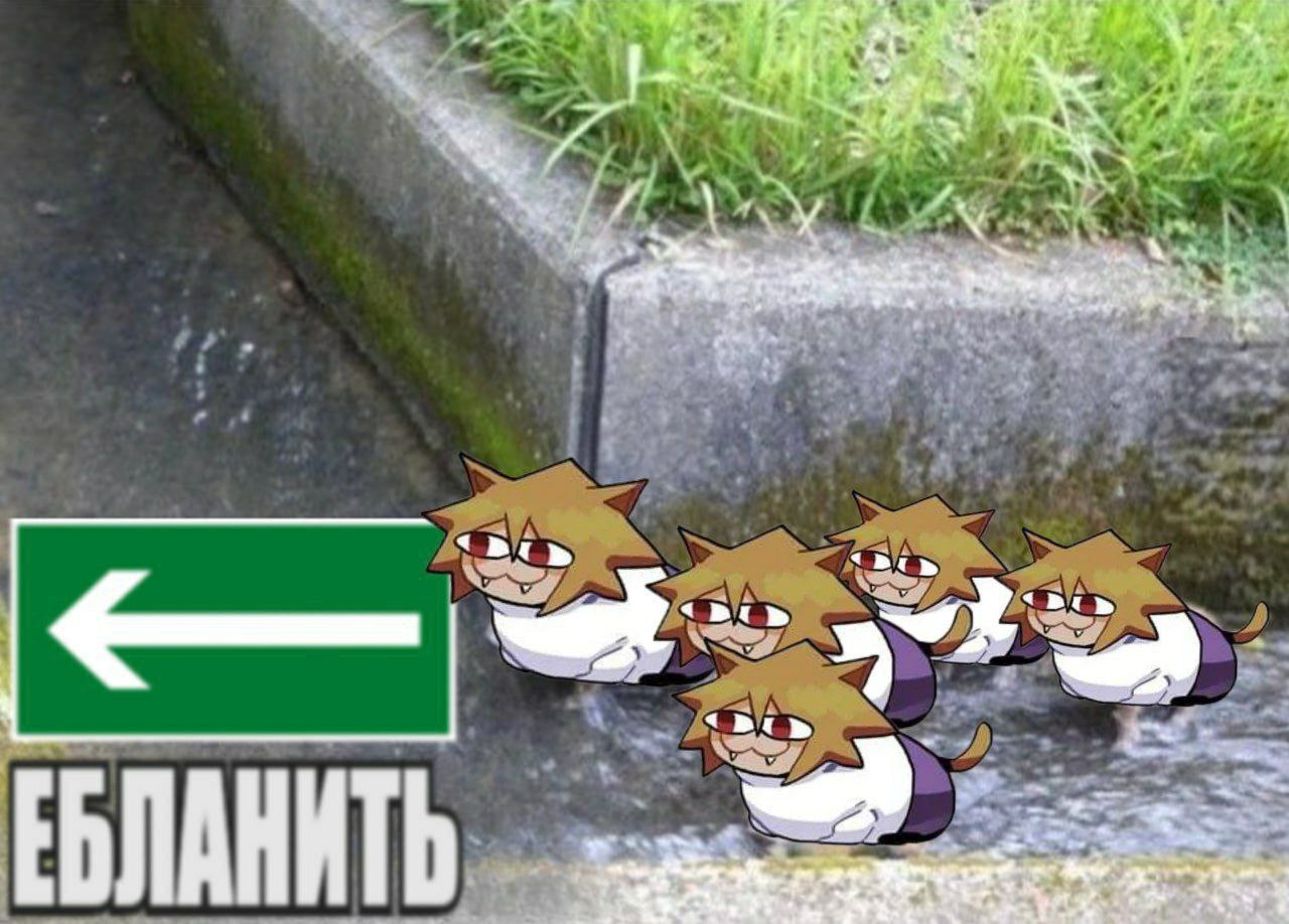 Котики Нюко АРК бегут ЕБЛАНИТЬ Мем с Нюко АРК котиками, которые бегут ебланить, по направлению зеленой стрелки