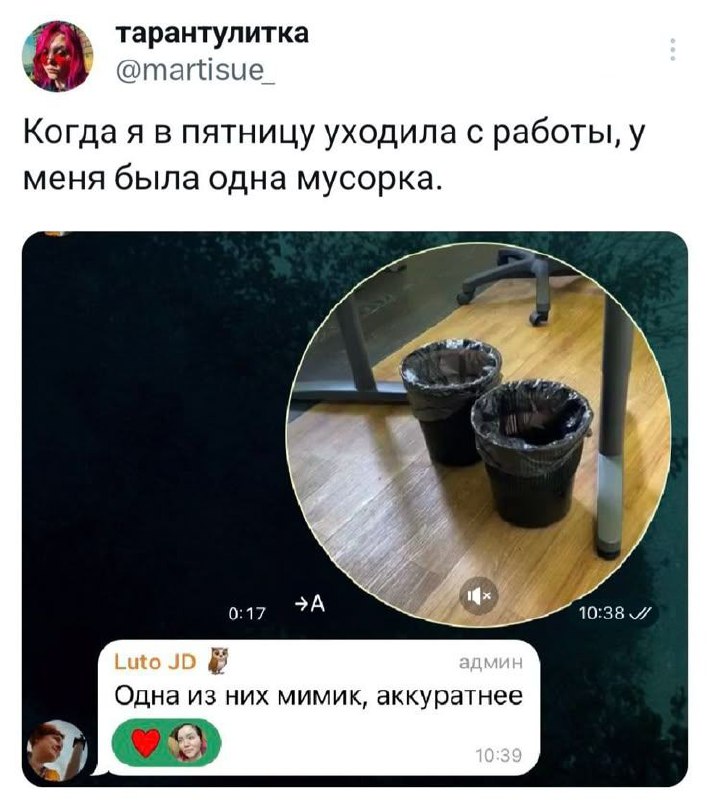 Одна из них мимик, аккуратнее Скриншот переписки про две мусорки, одна из которых может оказаться мимиком