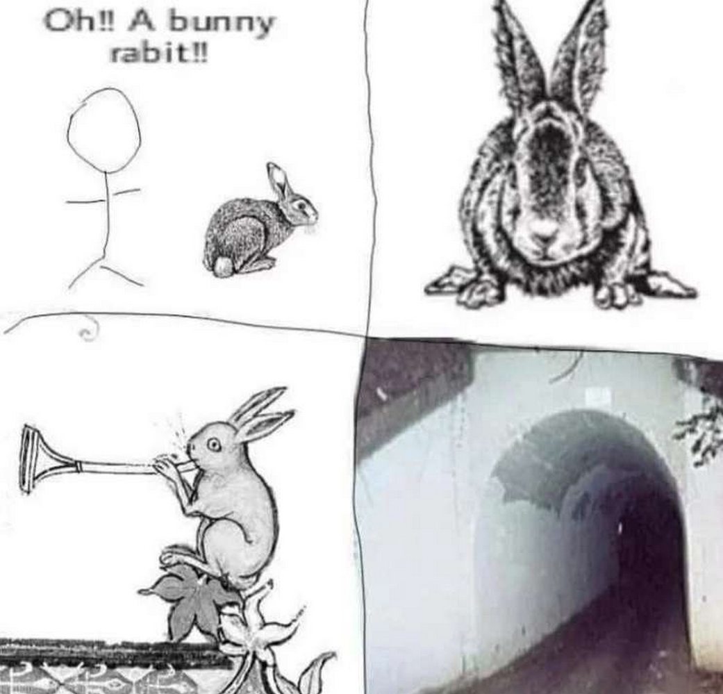 Oh A bunny rabit Мем с фразой "Oh!! A bunny rabit!!", рисунками кроликов и тоннелем