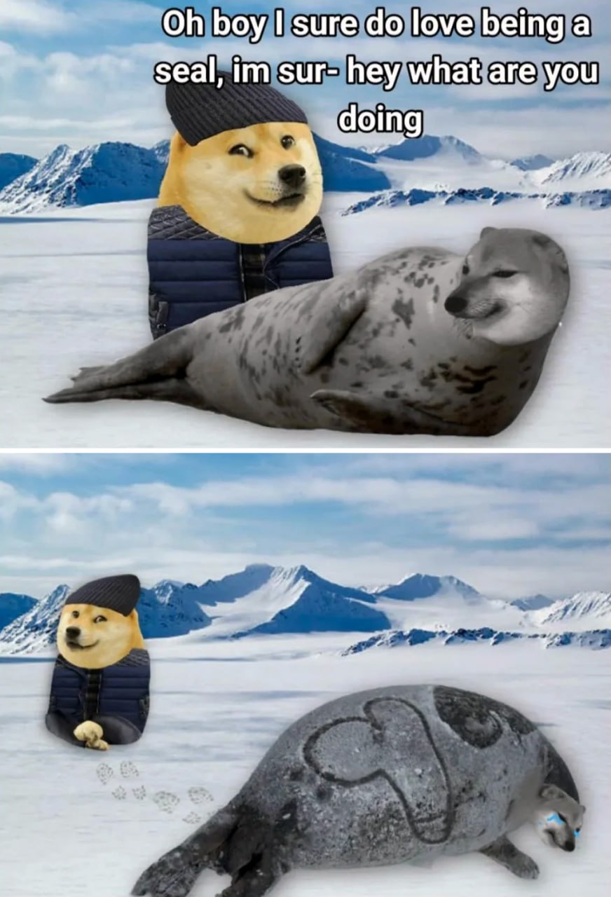 Oh boy I sure do love being a seal Мем про сиба-ину и тюленя с головой Чемса, который рисует пенис на снегу