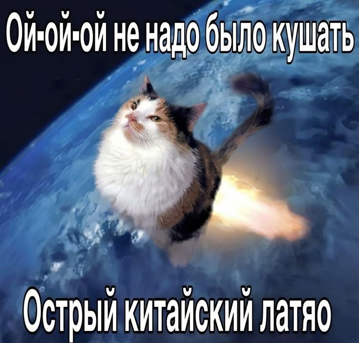 Кот улетает в космос после того, как съел острый китайский латяо