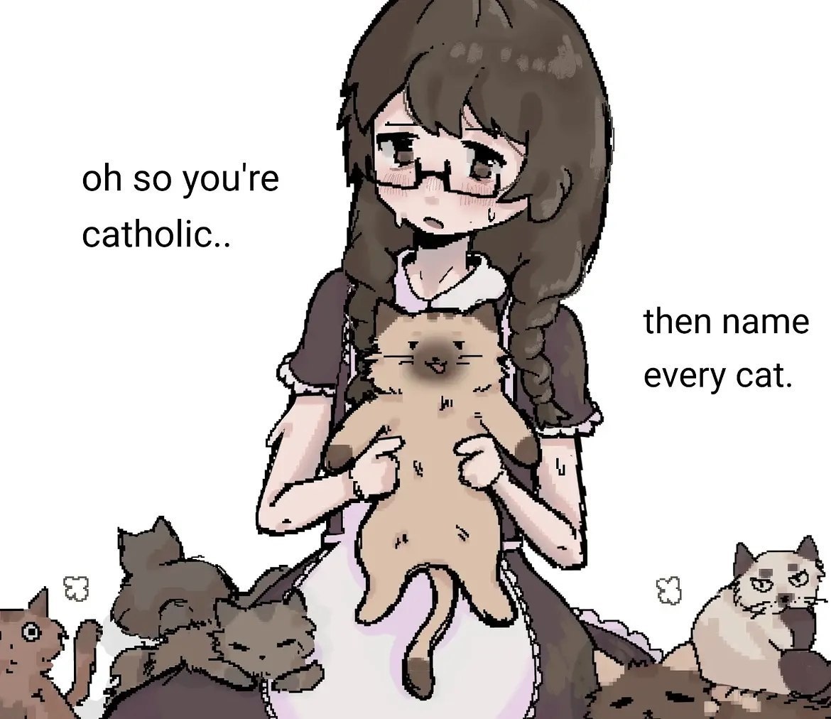 Аниме-девушка держит кота на фоне множества других кошек: «Oh so you're catholic.. then name every cat.»