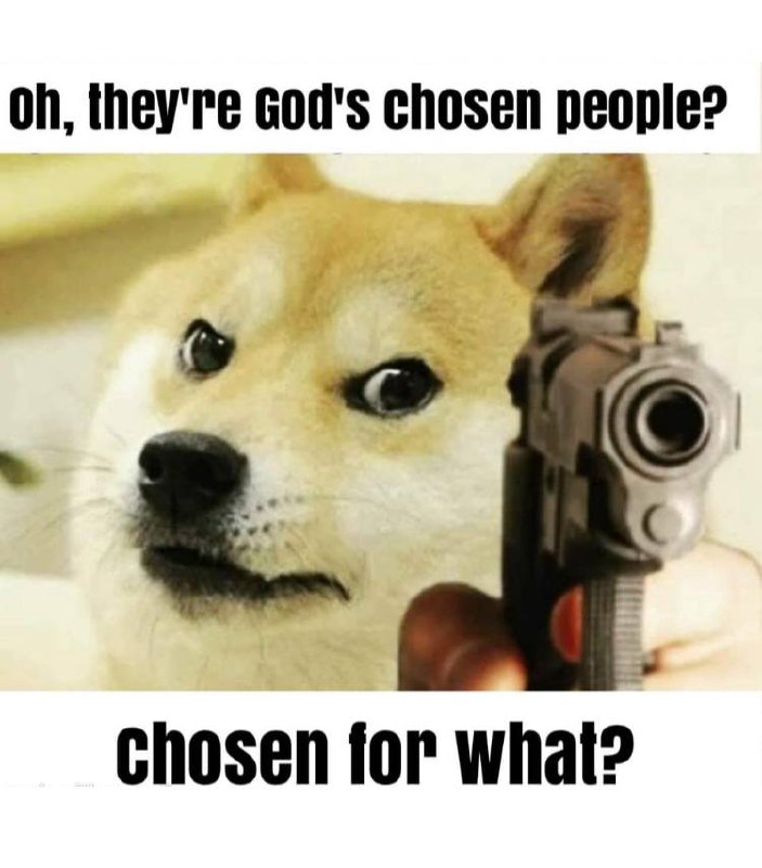 Oh, they're God's chosen people? Chosen for what? Мем с собакой Doge, держащей пистолет и спрашивающей "Oh, they're God's chosen people? Chosen for what?"