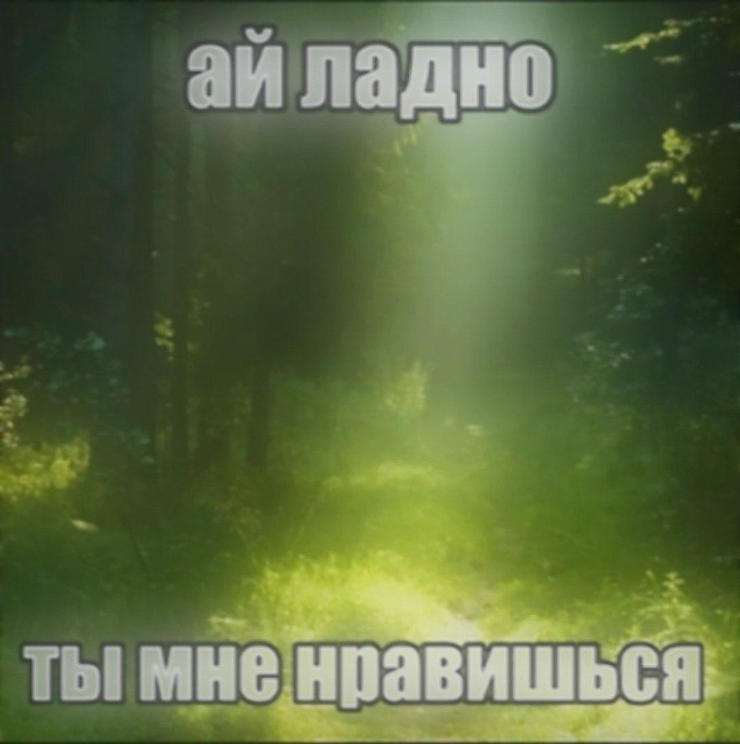 Ай ладно ты мне нравишься Мем с надписью "Ай ладно, ты мне нравишься" на фоне лесной тропинки в тумане