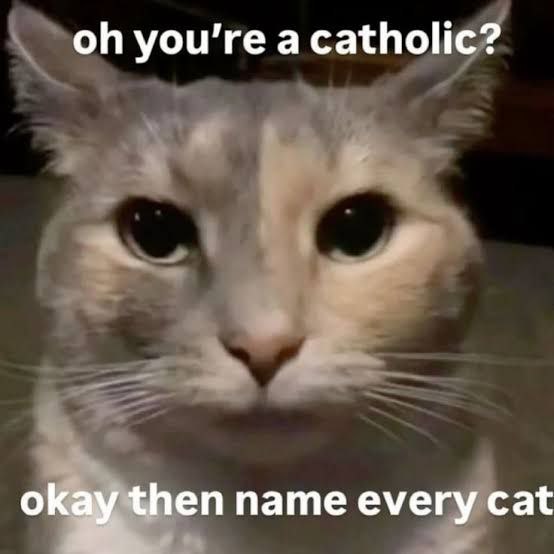 Oh you're a catholic? Okay then name every cat Мем с котом, который просит назвать каждого кота, если ты католик