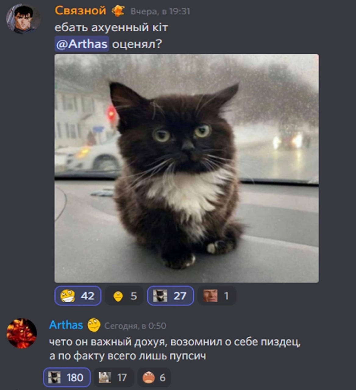 Ебать ахуенный кит Мем про котенка, которого назвали «охуенный кит» и «пупсич» в дискорде.