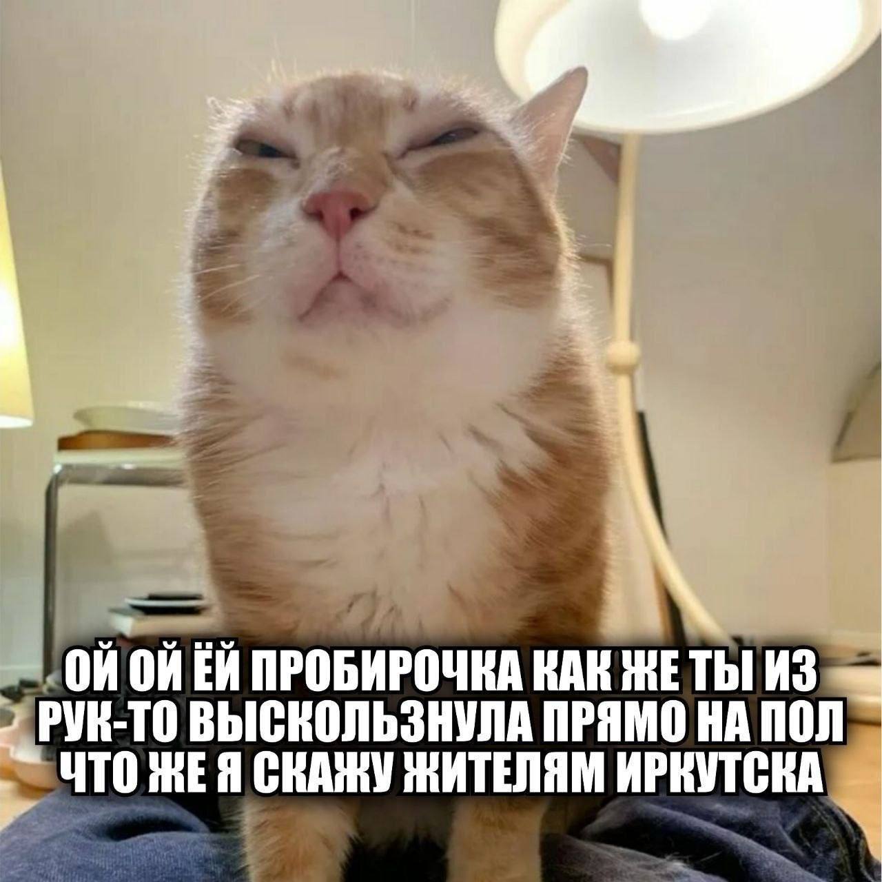 Рыжий кот с невозмутимым выражением сообщает, что пробирочка выскользнула из рук и упала на пол.