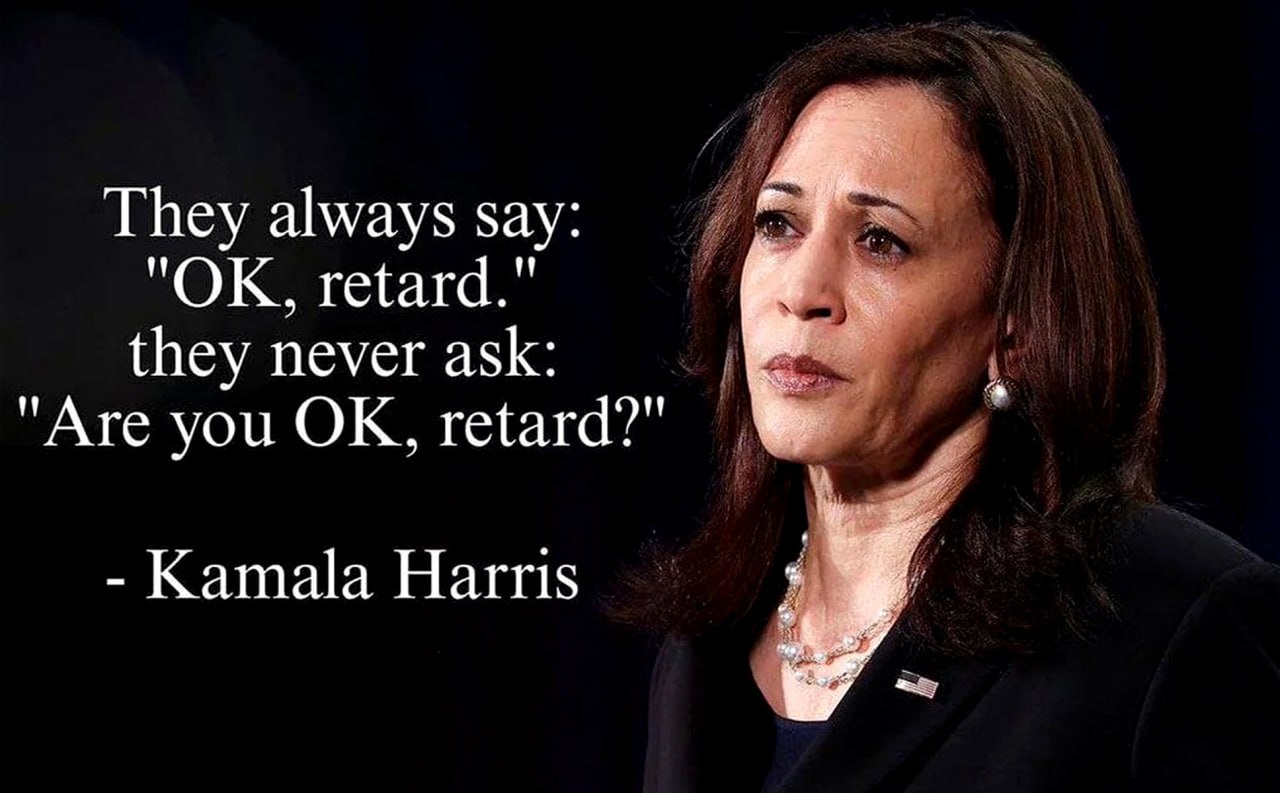 OK, retard Kamala Harris Мем с Камалой Харрис и фразой "OK, retard"