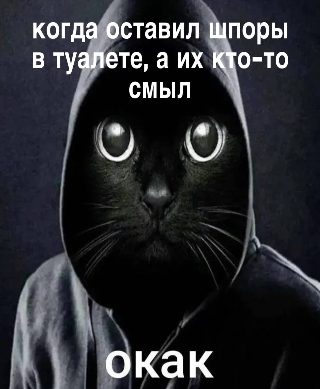 Окак черный кот в капюшоне Мем про черного кота в капюшоне с надписью «Окак»
