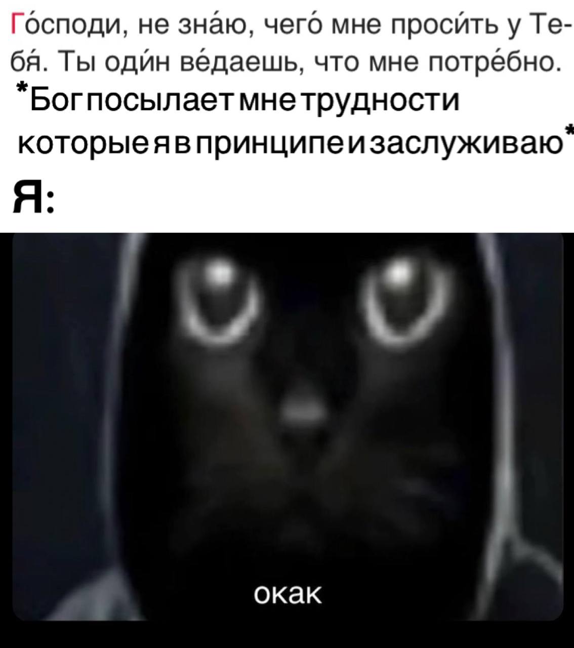 Окак кот Мем с котом окак, когда Бог посылает трудности, которые заслуживаешь