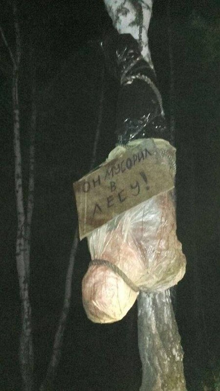 Самодельная жуткая фигура в лесу с табличкой «Он мусорил в лесу!»