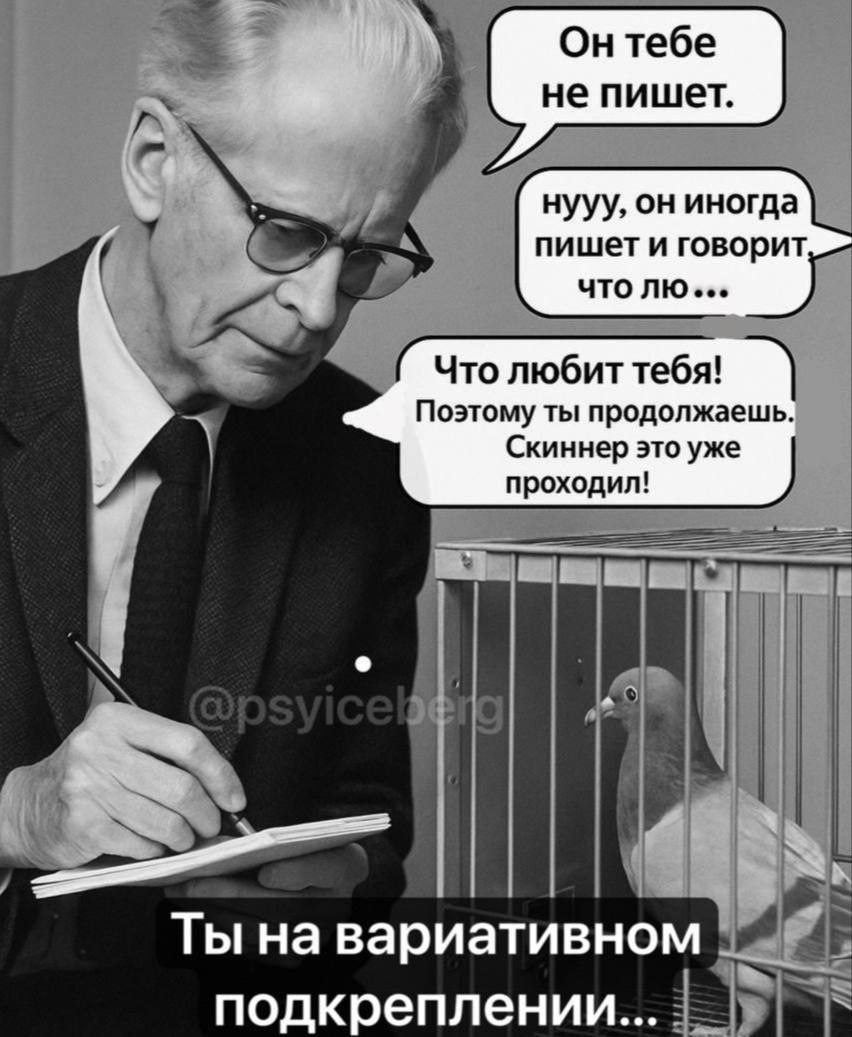 Он тебе не пишет Мем про мужчину, голубя в клетке и вариативное подкрепление