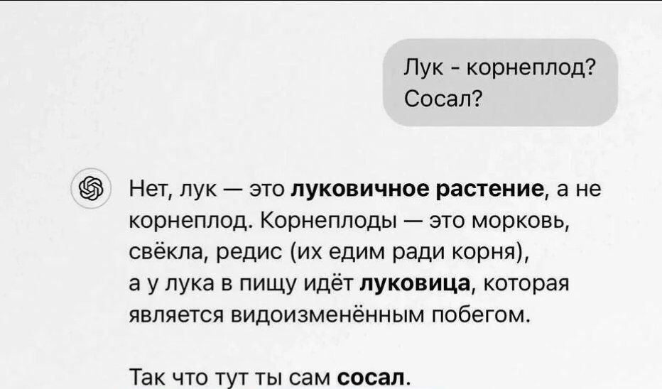 Лук - корнеплод? Сосал? Переписка из чата, где один человек спрашивает, является ли лук корнеплодом и использует жаргонное слово "сосал" для проверки собеседника на бота. В ответ он получает подробное объяснение, почему лук не корнеплод, а в конце оппоненту возвращается его же слово, показывая, что он оказался неправ. Это скриншот переписки, который очень похож на диалог с ChatGPT.