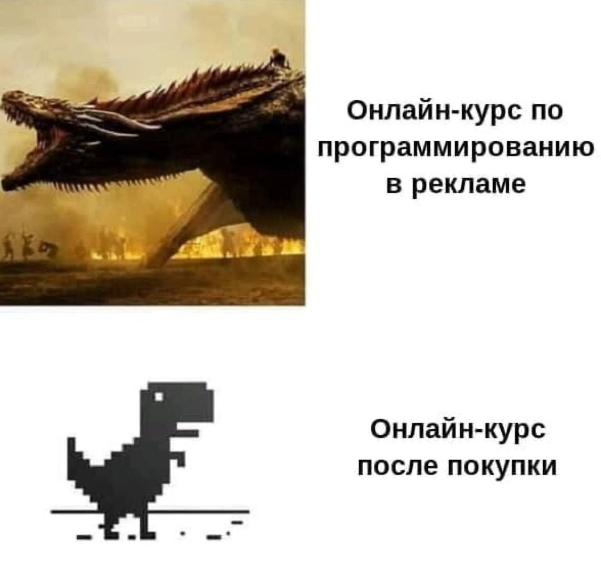 Онлайн-курс по программированию в рекламе и после покупки Мем с драконом и динозавром из игры о разнице между рекламой онлайн-курса по программированию и его содержанием после покупки