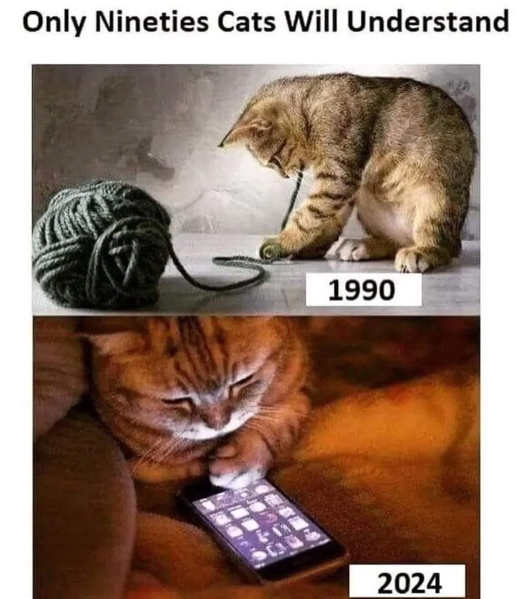 Ностальгическое сравнение: кот из 1990 года играет с клубком шерсти, а кот из 2024 года пользуется смартфоном.